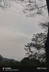1000032226
