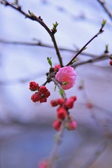 001