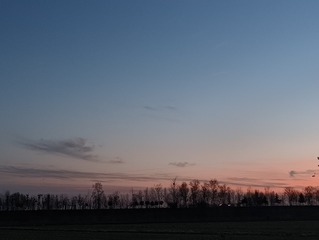 1000030270