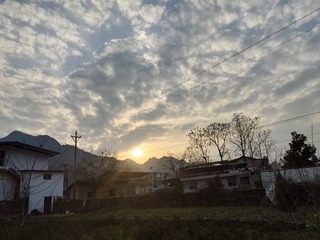 1000015588