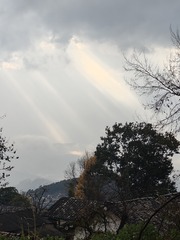 1000111711