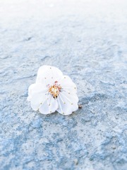 570