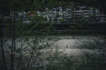 1000066805