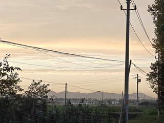 1000004253