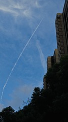 1000011451