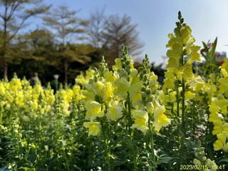 C431357C-1B04-4C77-A03B-201E3AF6D7C7/L0/001