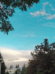 1000009691