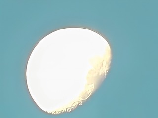 1000011245