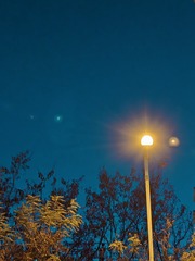 1000011264