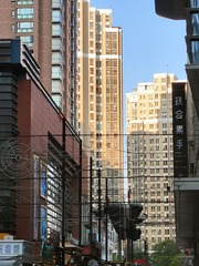 1000017162