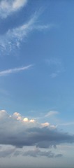 1000018655