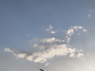 1000019521