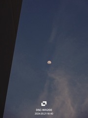 1000044918