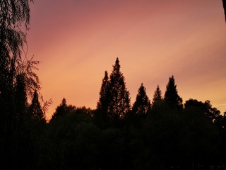 798