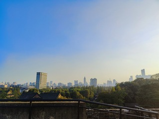 1000088646