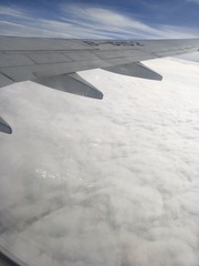 1000012643