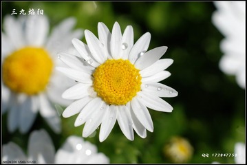1000030430