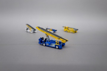 1000062434