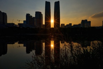 1000063161