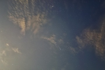 1000115579