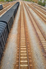 1000117767