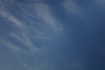 1000039111