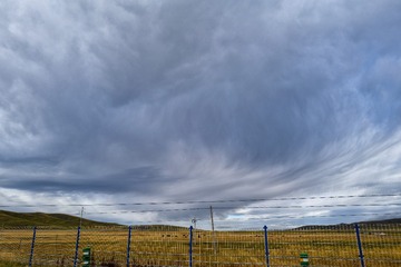 1000064249