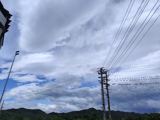 1000026958