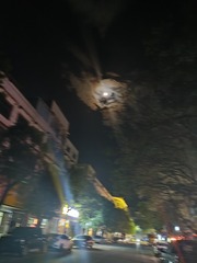 1000026777