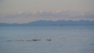 DSC09564.JPG
