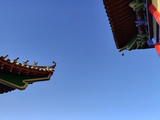1000068780
