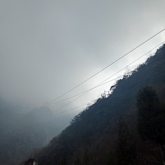 1300816