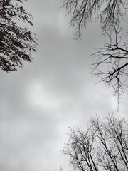 1000030201