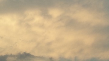 2091659
