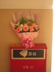 IMG_9235.JPG
