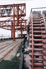 1000016627