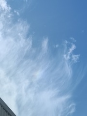 1000019901