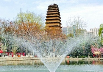 1000081557