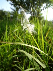 DSC02126.jpg