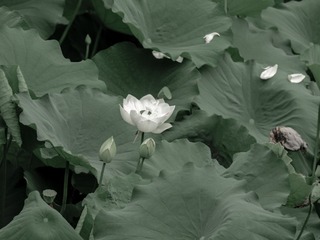 P1028940