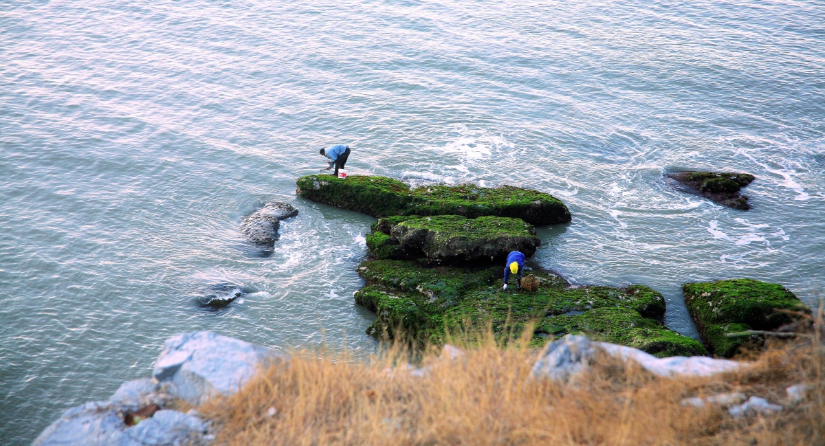 渤海湾的冬天摄于大连市大黑石海边20年21年冬