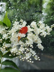IMG20240607122839