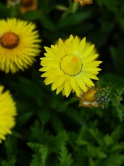 IMG20240430181708[1]