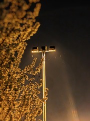 1000012805