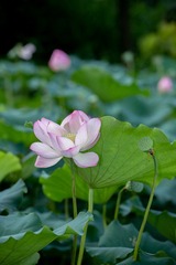 001