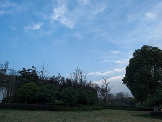 1000068806