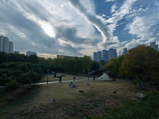1000062312