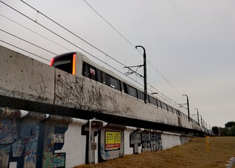 51271