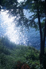 DSC03528