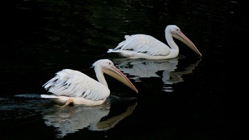 IMG_7306.JPG
